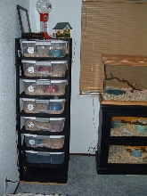 New Rack